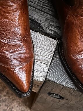 Montana Authentic African Bullfrog Snip-Toe Cowboy Boots in Chestnut Brown 8.5 D